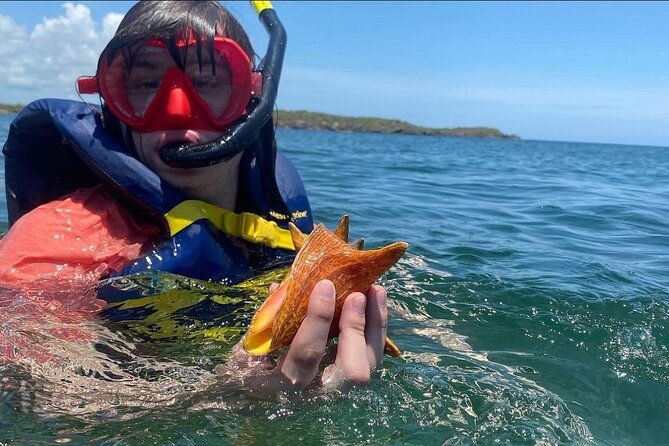 snorkeling-private-tour-in-montego-bay