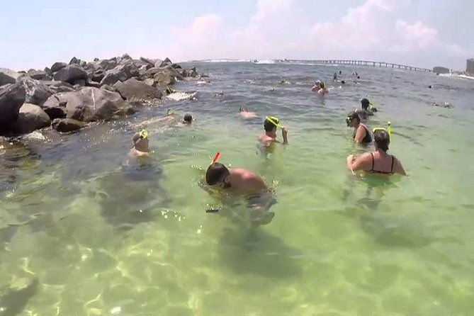 snorkeling-shelling-eco-excursion-2