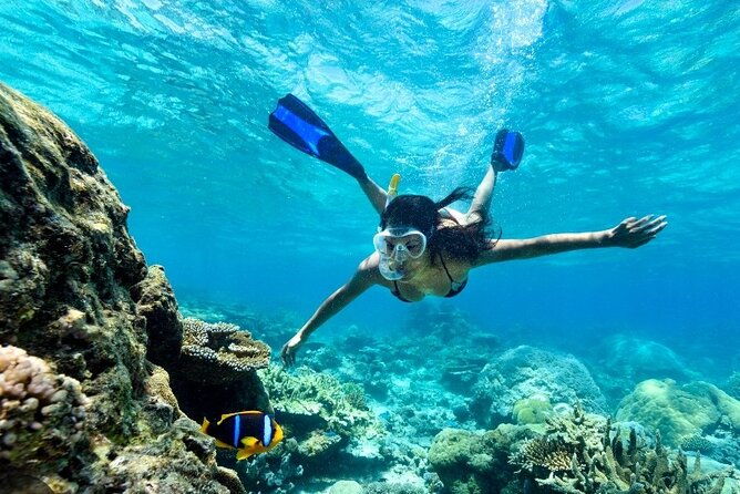 snorkeling-water-private-activity-in-montego-bay-jamaica