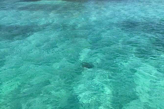 snorkeling-with-the-turtles