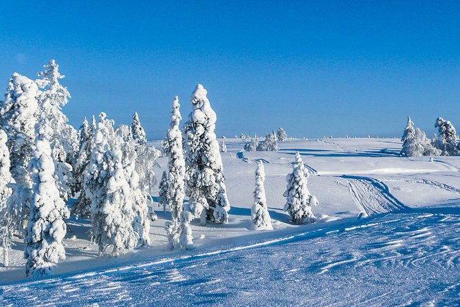 snowmobile-safari-in-the-nature-morning-start