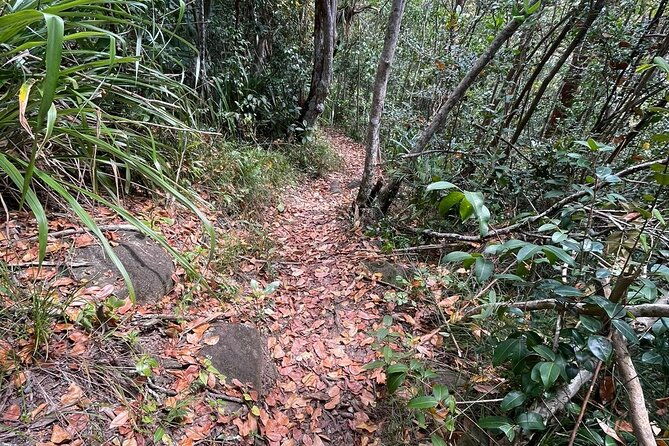 st-lucia-billy-goat-trail-hike-in-marigot-bay-saint-lucia