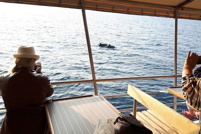 sunset-dolphin-watching-boat-tour-from-vrsar-2