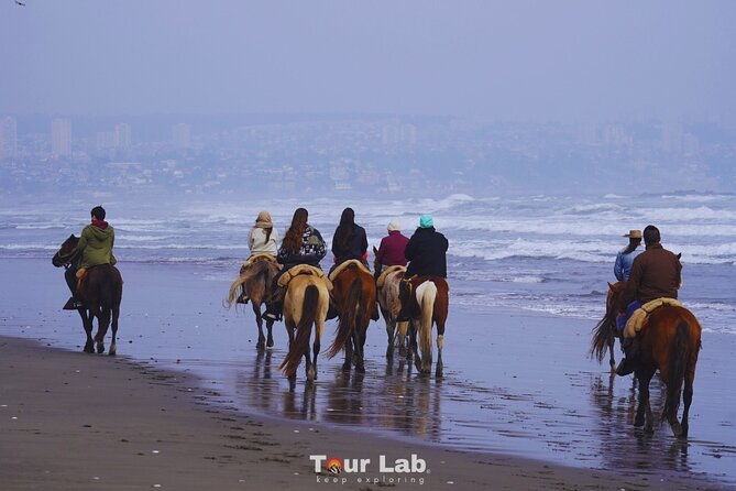 sunset-horseback-ride-on-ritoque-dunes-beach-bbq-all-inclusive