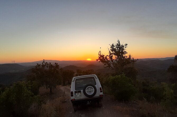 sunset-safari-4h