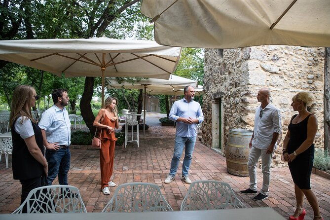 tour-and-tasting-of-organic-wines-in-lazise-2