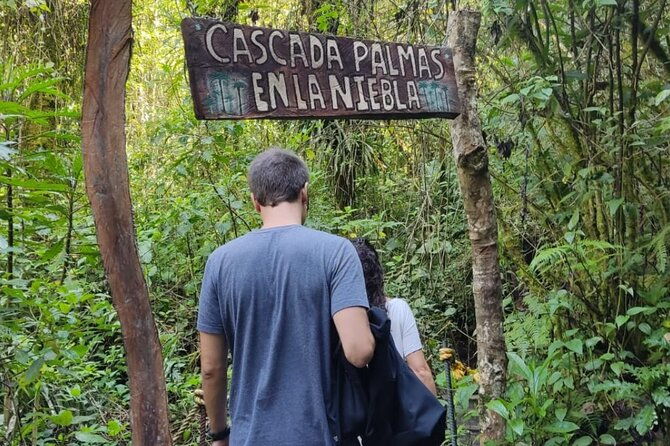 trekking-hiking-in-cocora-valley-from-pereira-or-armenia
