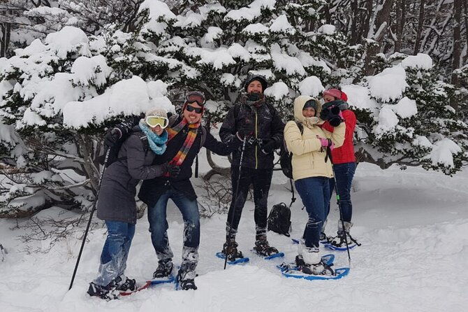 ushuaia-white-adventure-in-sleighs-with-huskys