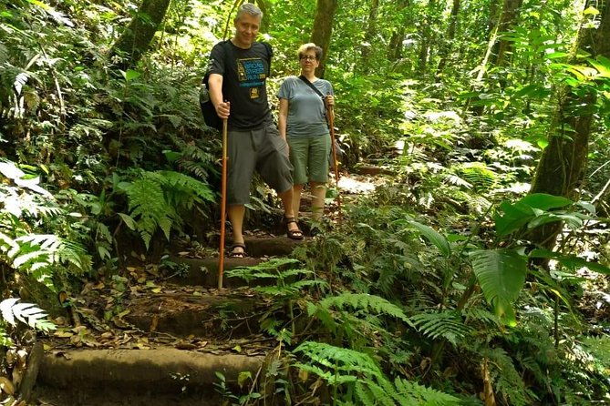 vermont-nature-trail-tour-with-frasers-taxi-and-tours
