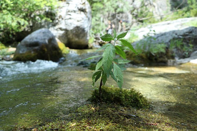 walking-into-enipeas-gorge