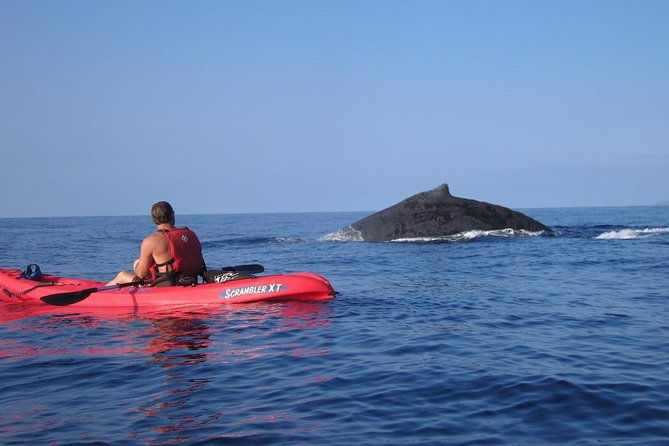 waterfall-hike-and-kayak-snorkel-paddle-from-makena