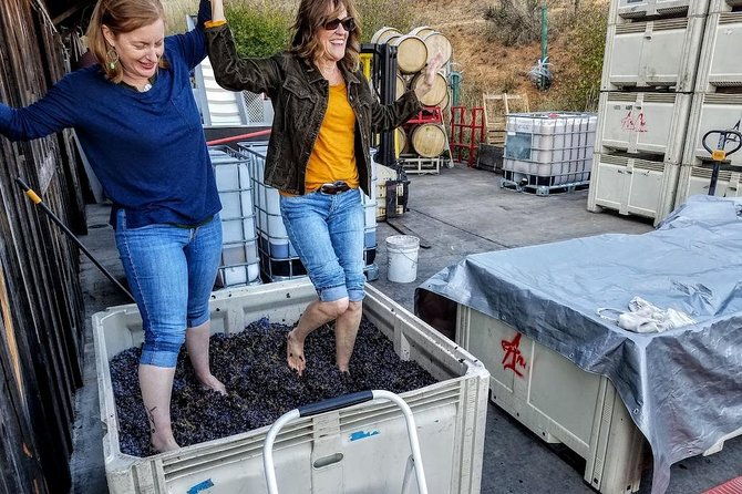 waterfalls-wine-tour-multnomah-fallsvineyardshood-river-combo-2