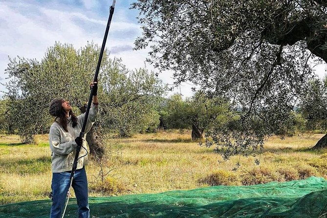 wine-olive-oil-tasting-in-an-organic-farm-in-laconia-greece