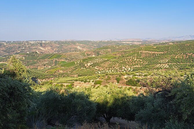 wine-raki-olive-oil-tasting-and-pottery-small-group