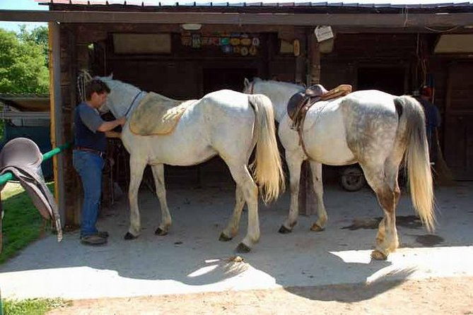 wine-tasting-and-horseback-riding-in-montepulciano-in-tuscany-from-rome
