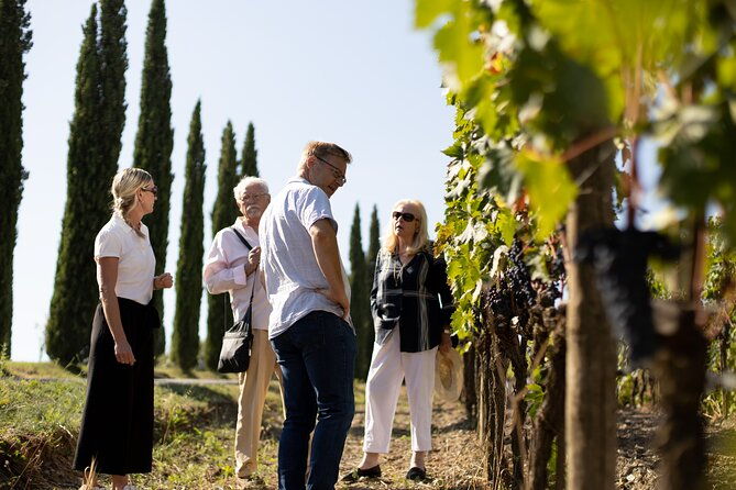 winery-tour-wine-tasting-in-montalcino