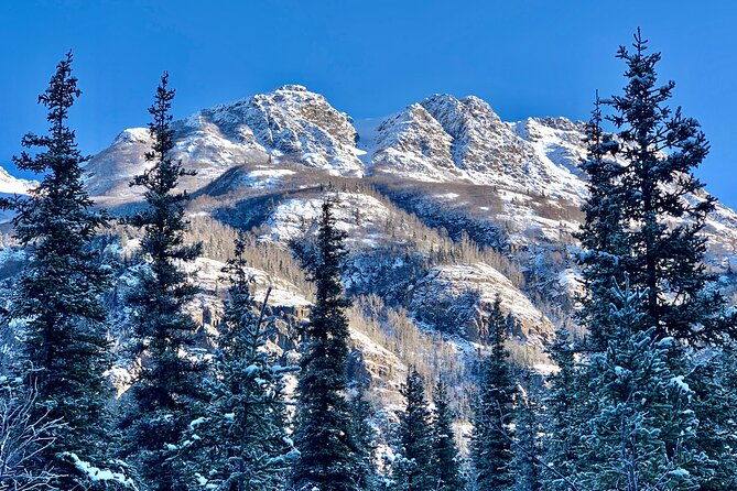winter-valley-and-forest-hike