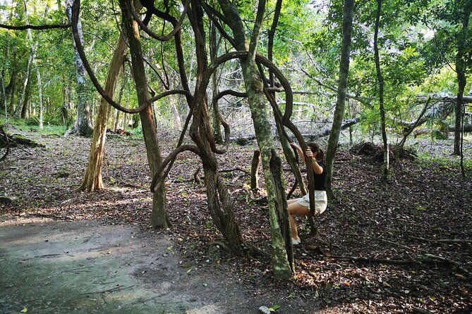 yaxha-archaeological-focus-day-tour-with-monkeys-spotting