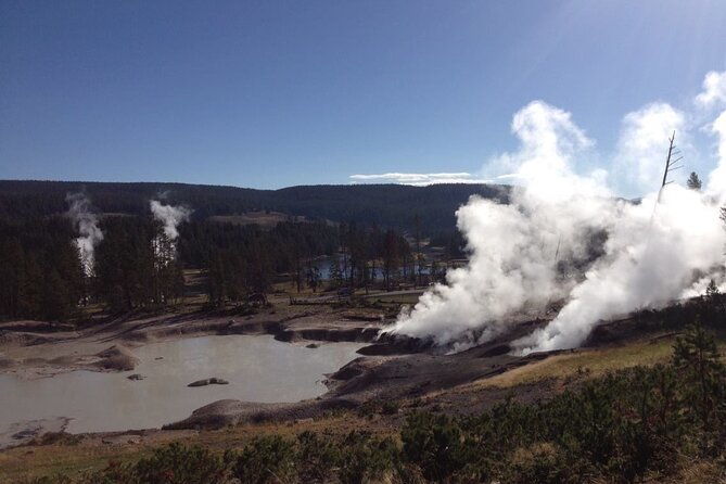 yellowstone-for-kids-family-fun-tour-w-pu-in-west-yellowstone