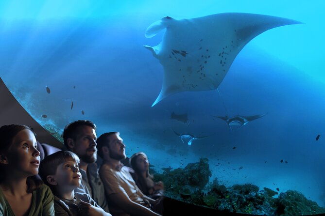 a-360-immersive-ocean-movie-experience-catalina-island-2