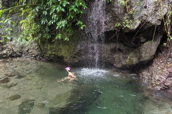 a-day-of-relaxation-in-the-jungle-and-waterfalls-of-dominica