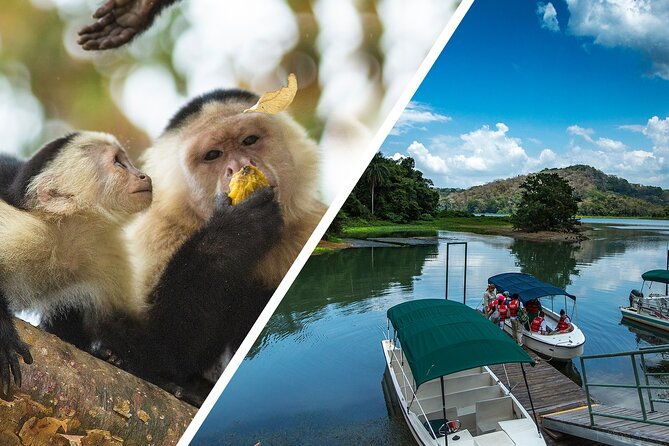 a-day-with-nature-boat-trip-on-gatun-lake-and-the-aerial-tram