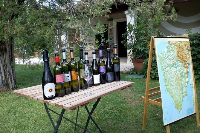 a-sample-of-wine-a-sample-of-istria-a-short-but-fulfilled-program