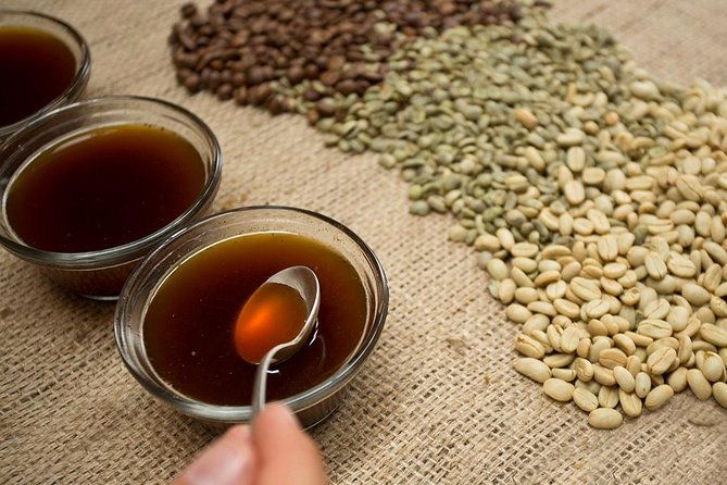 a-taste-of-aquiares-2-hours-coffee-tour