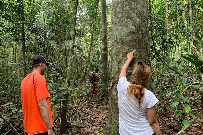 a-whole-day-in-the-jungle