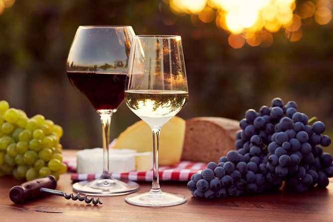 a-world-of-wine-tasting-in-nemea