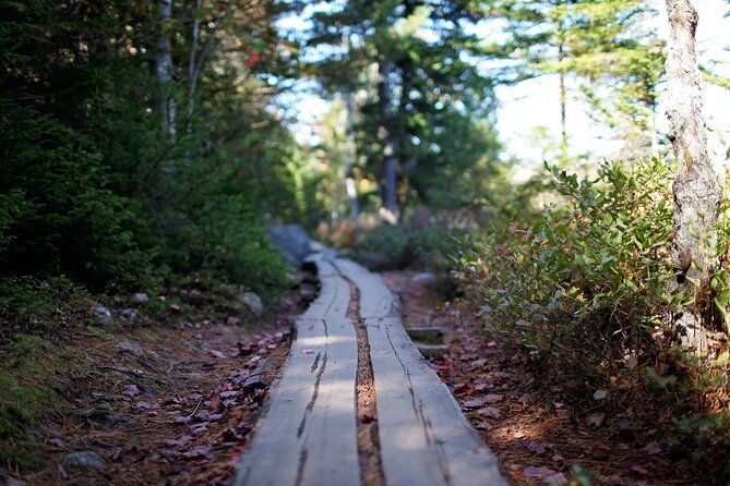 acadia-full-day-private-tour-and-hike