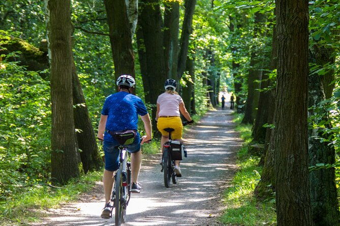 acadia-half-day-private-bike-tour