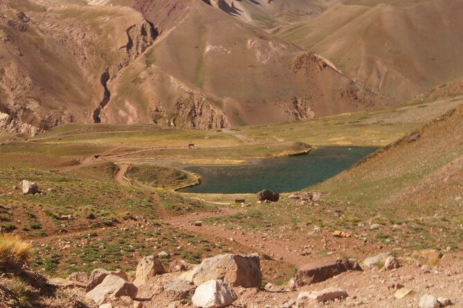aconcagua-short-hike-and-high-mountain-tour-with-barbecue