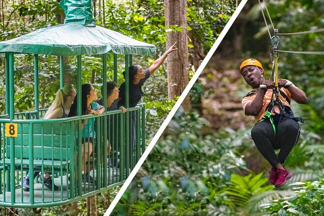 adrena-line-zipline-canopy-tour-at-rainforest-adventures-st-lucia