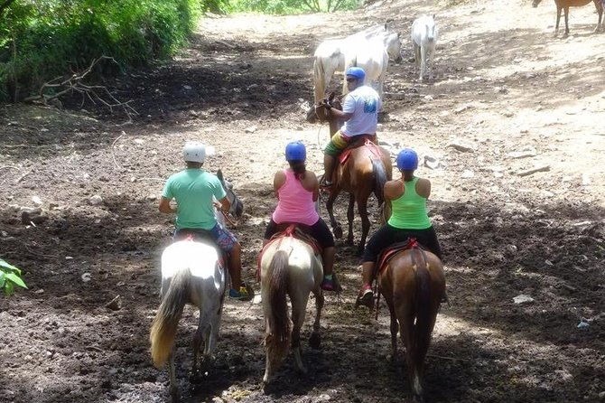 adrenaline-tubbing-zip-line-rappelling-hot-springs-tour