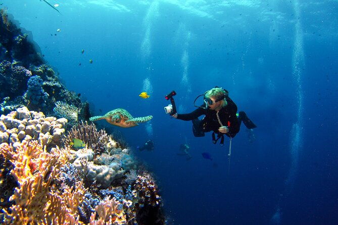 adventure-diving-in-san-andres-for-beginners-4-hours