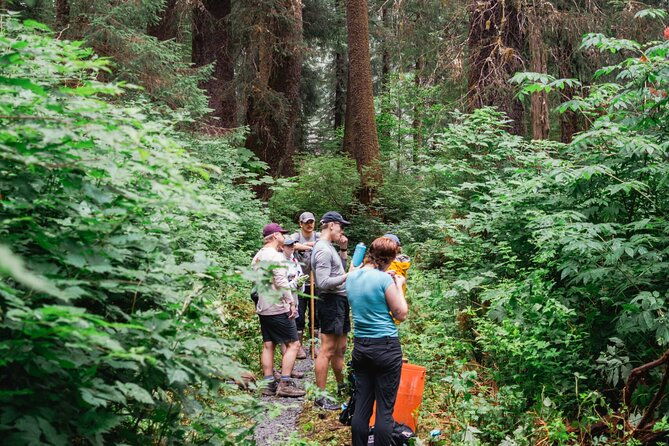adventure-hike-alaskan-wilderness-trail