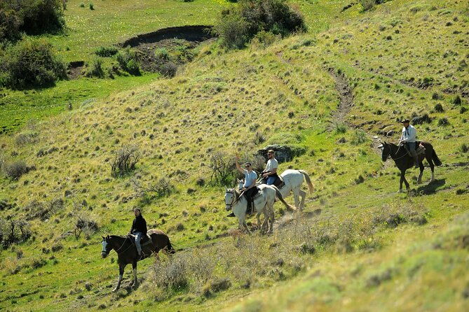 adventure-horseback-riding-on-cerro-frias
