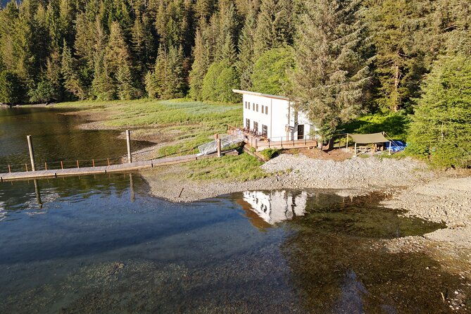 alaska-bears-and-silver-bay-homestead