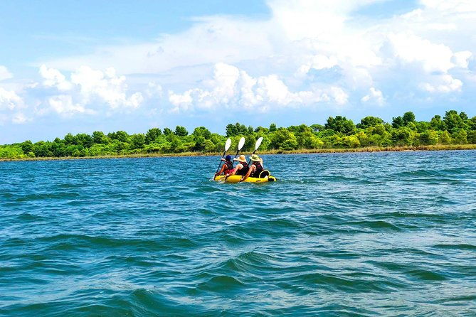 albania-birdwatching-kayaking-bicycle-national-park-divjaka-karavastaarg