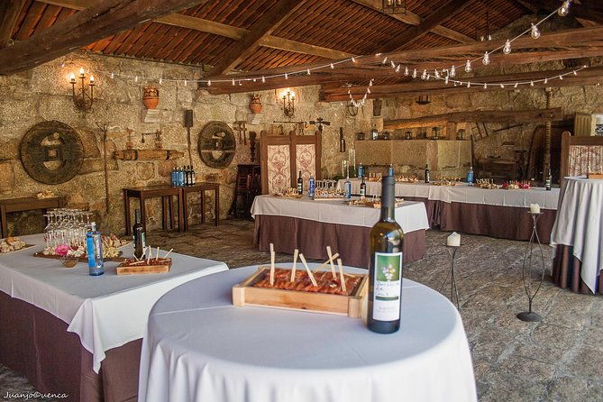 albarino-trails-private-wine-tour-shore-excursion-from-vigo