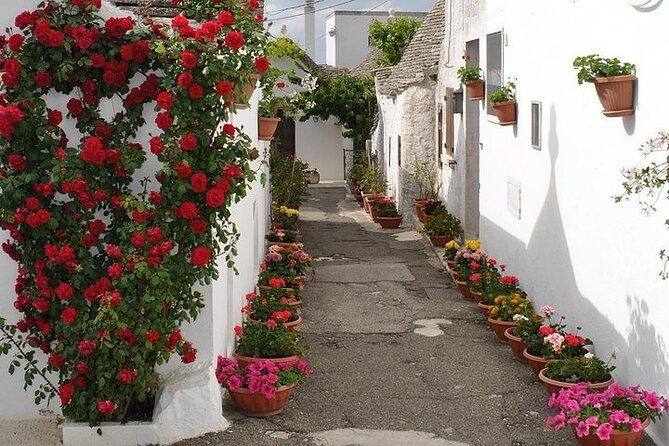 alberobello-with-a-local-tour-guide