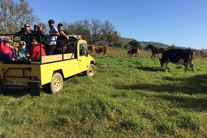 algarve-jeep-safari-half-day-trip-morning-2
