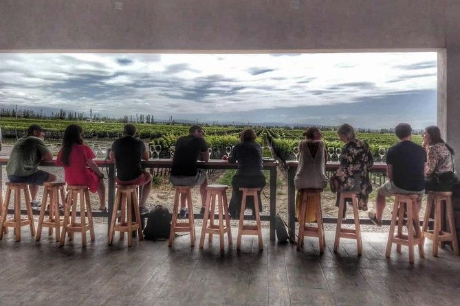 all-day-small-group-luxury-wine-tour-with-gourmet-lunch