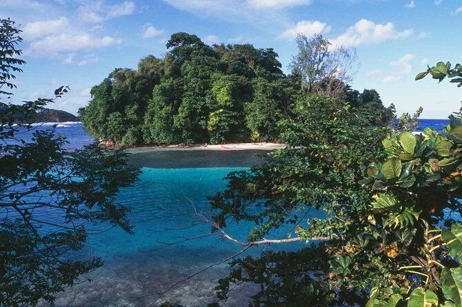 all-day-tour-of-ocho-rios