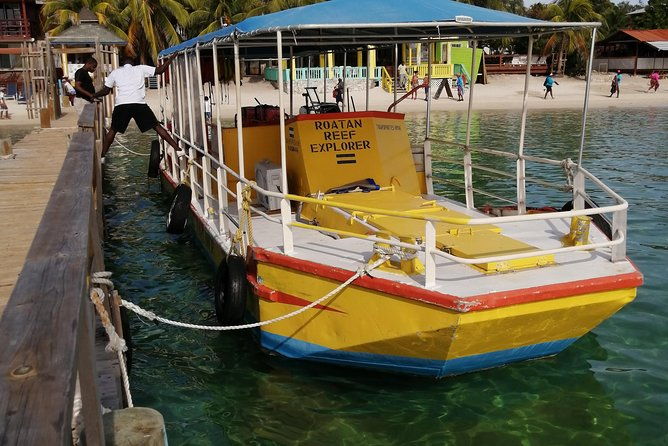 all-inclusive-glass-bottom-boat-wild-life-encounter-and-beach