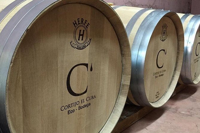 almeria-visit-to-eco-winery-cortijo-el-cura-and-wine-tasting