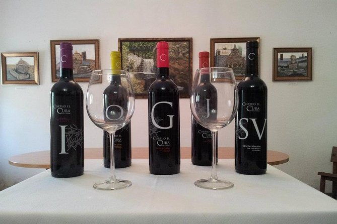 almeria-wine-tour-and-tasting-in-english-in-bio-winery