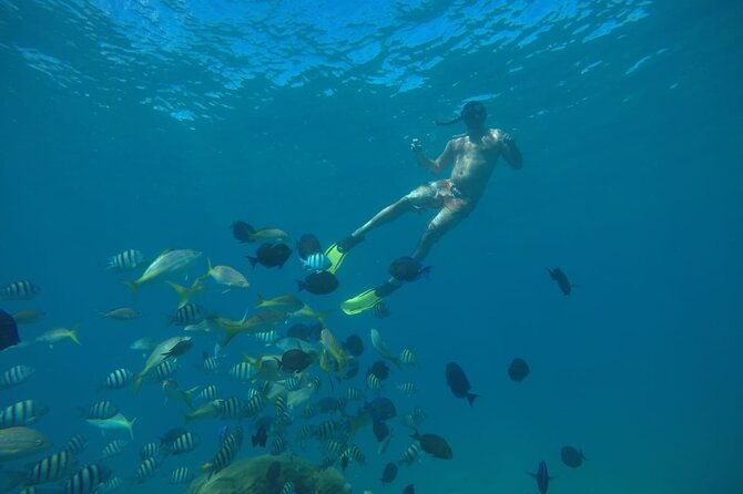 amazing-paradise-island-snorkeling-mangrove-tour-locale-food