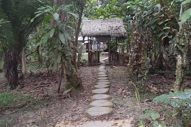 amazon-river-expeditions-with-guide-for-5-days-4-night-ecolodge